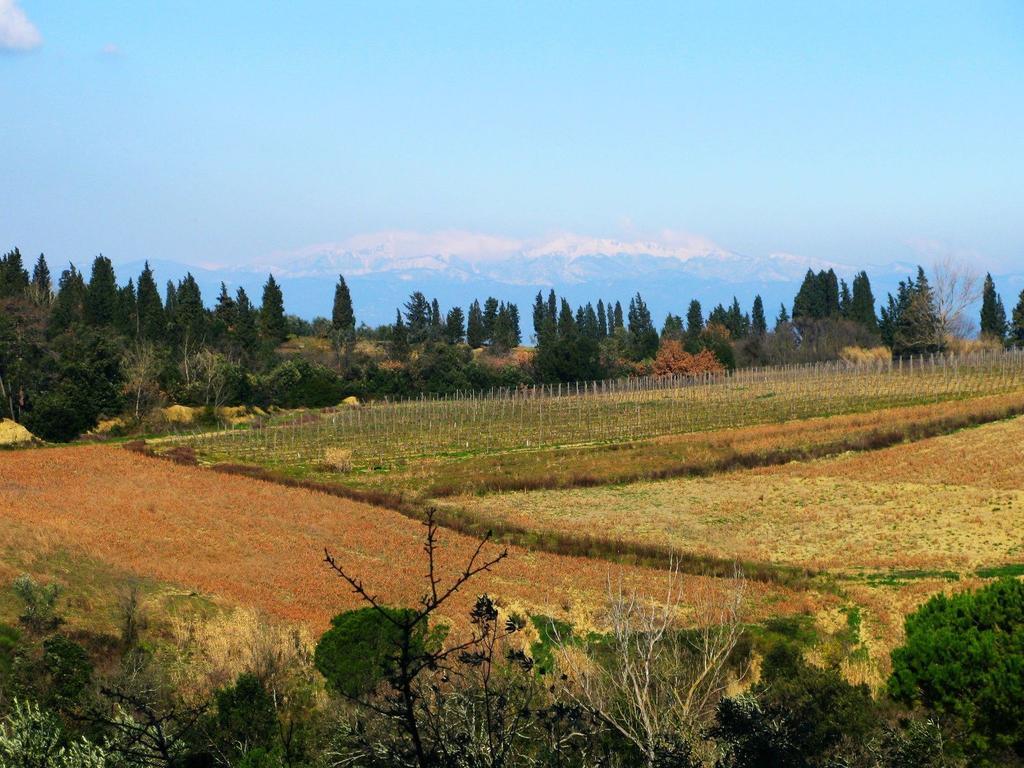 Agriturismo Martignana Alta 엠폴리 외부 사진