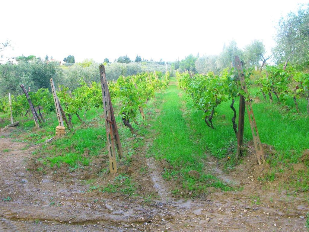 Agriturismo Martignana Alta 엠폴리 외부 사진
