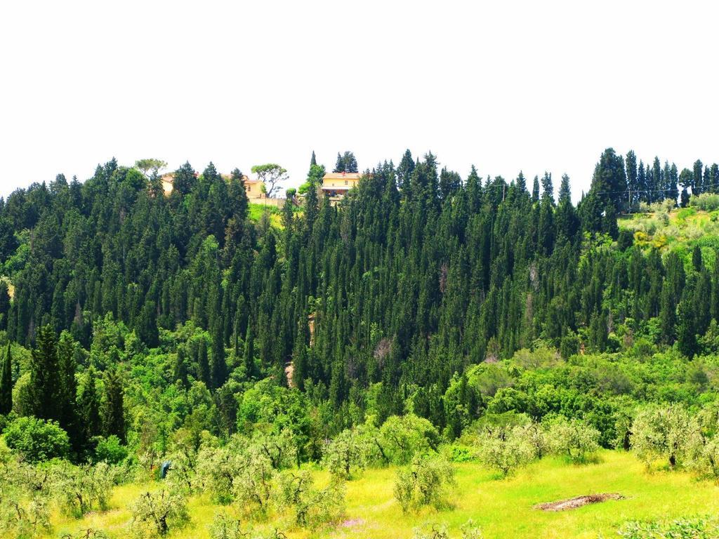 Agriturismo Martignana Alta 엠폴리 외부 사진